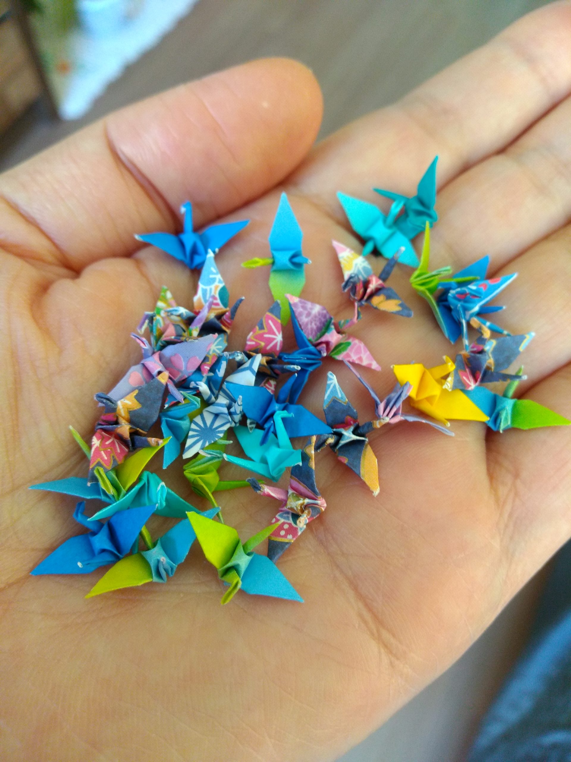 Yuki, origamista, Pelotas, RS