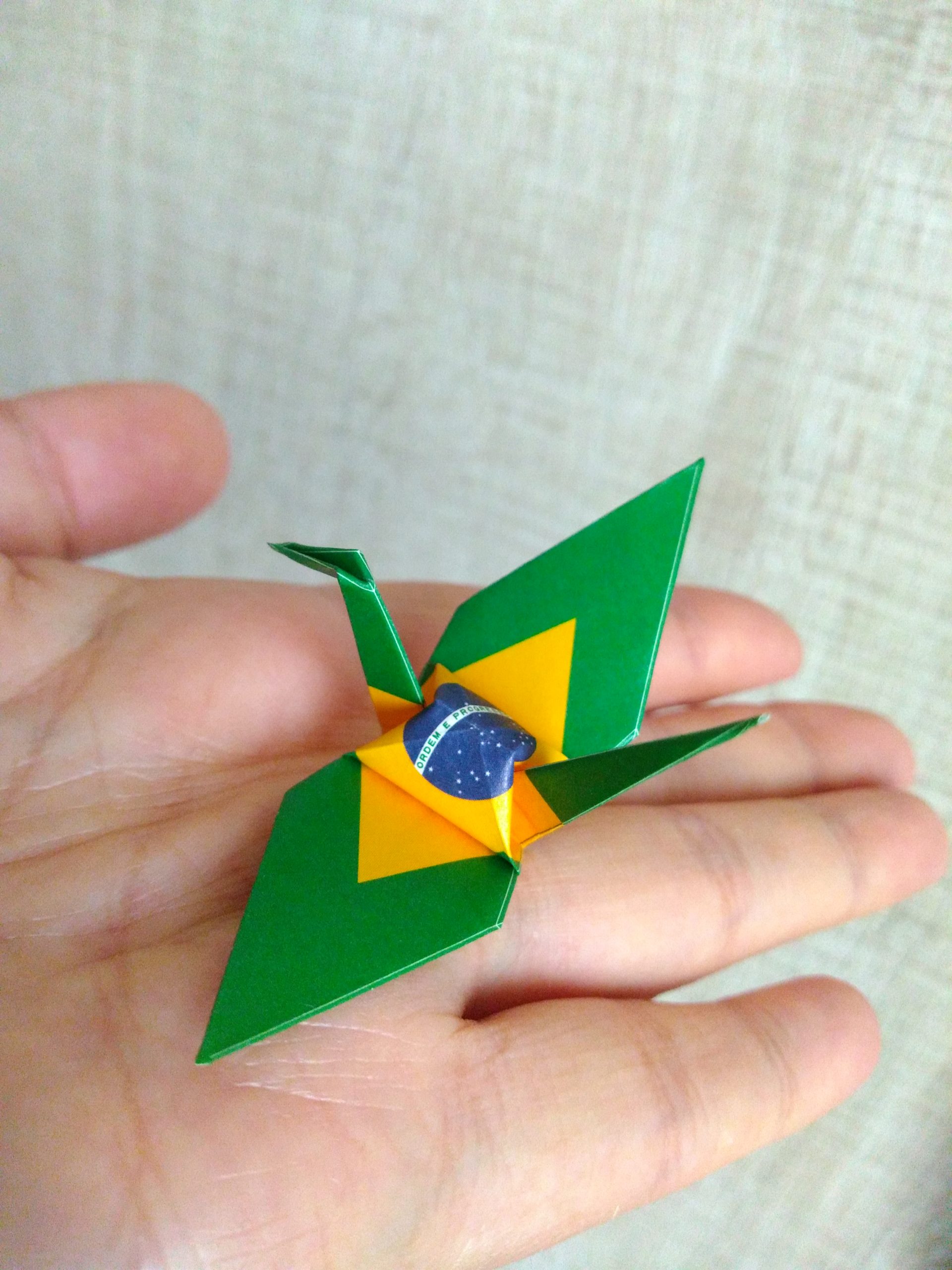 Yuki, origamista, Pelotas, RS
